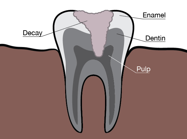 Danbury Dental